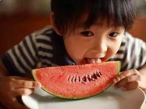 娱乐吃瓜君吐槽二豆,二豆事件真相揭秘