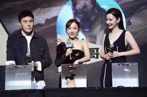 娱乐圈吃瓜博主合集,吃瓜博主合集大放送!